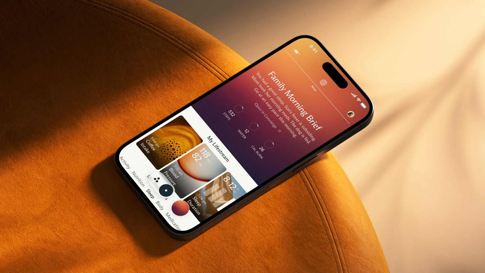 Fitbit联合创始人推出AI家庭健康平台Luffu，聚焦协同照护新范式