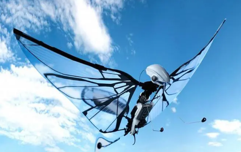 国产扑翼无人机实现仿生突破，续航达256分钟引行业关注