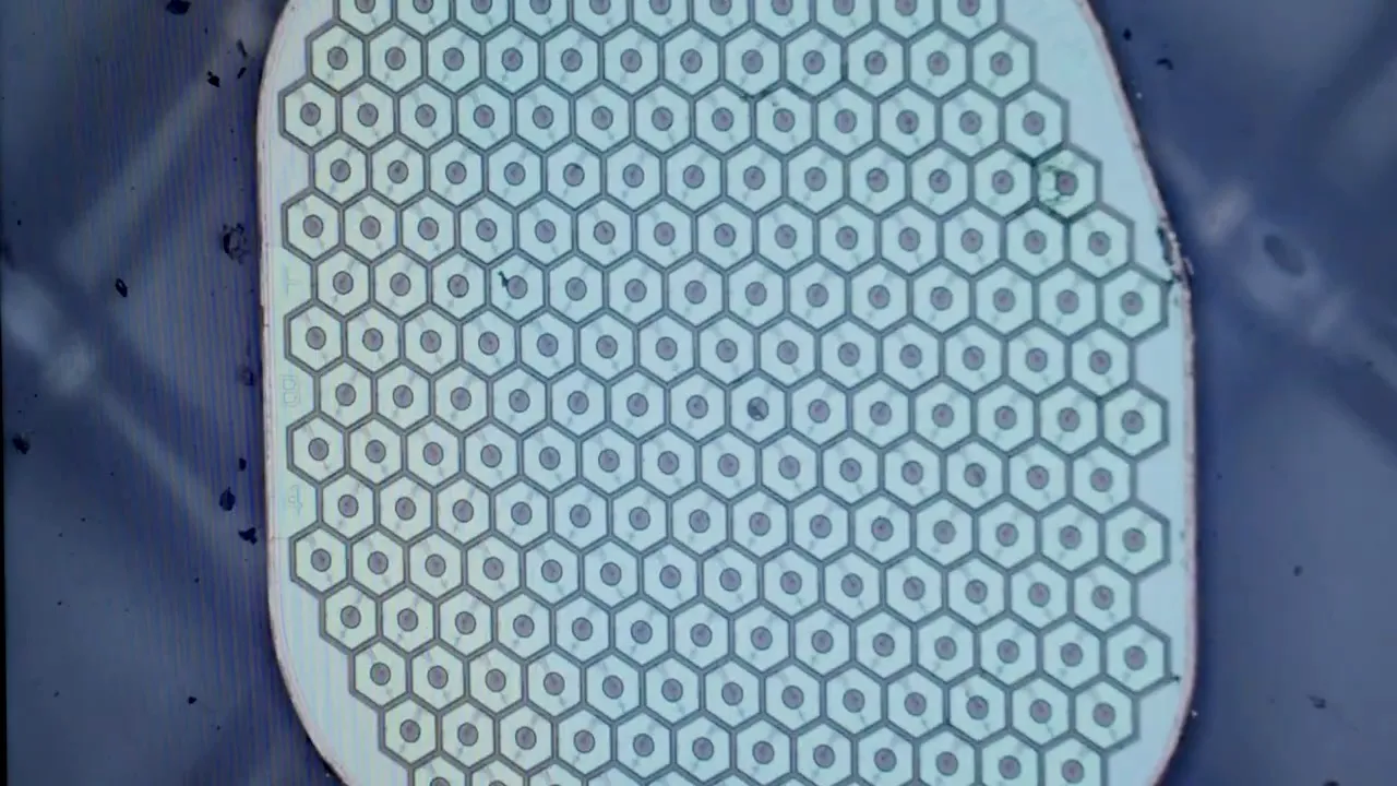 前Neuralink联合创始人新创公司启动美首例生物混合脑机接口人体试验