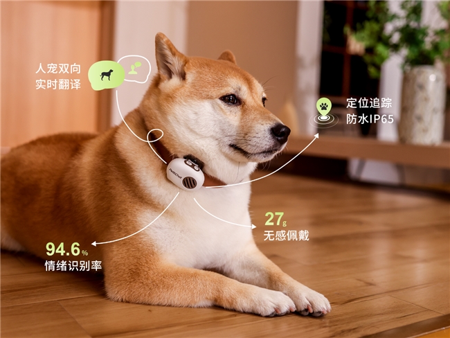 AI大模型入局宠物经济，萌小译推出硬件级“猫狗翻译器”