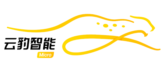 腾讯重仓的深圳DPU独角兽云豹智能冲刺IPO，创业板第四套标准再迎硬科技大考