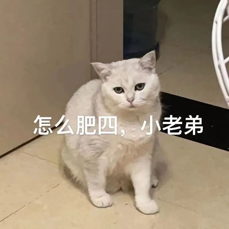 微信图片_20220902224523.jpg