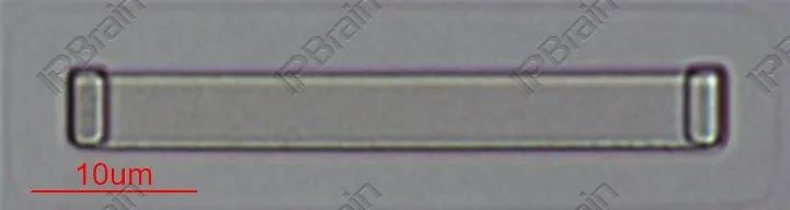 TXS0108E_10.png