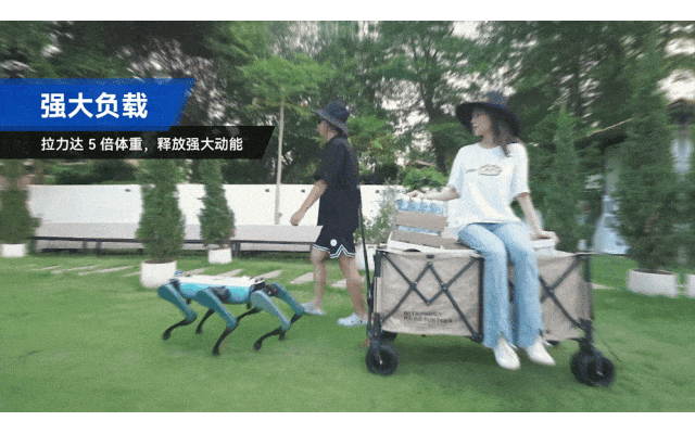 e8317b59-1417-4a5b-bc11-8d3bbf9a53f1.gif