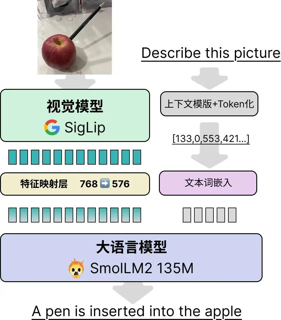 SmolVLM2的架构图