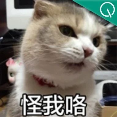 因为不用AI写代码，我在终面挂了 | 一个程序员的奇葩面试经历