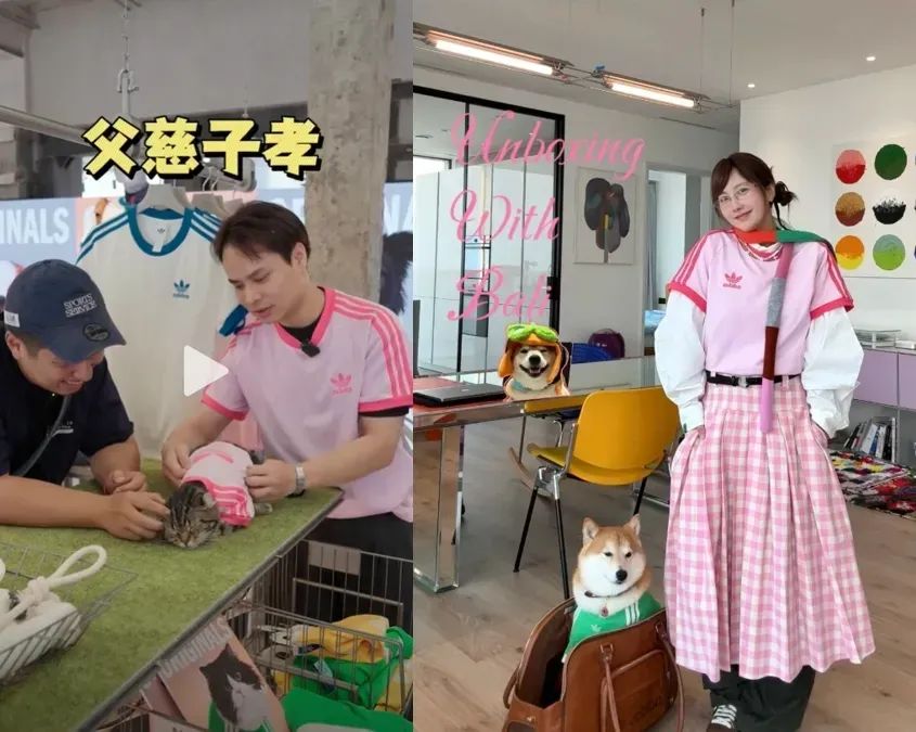 资讯配图