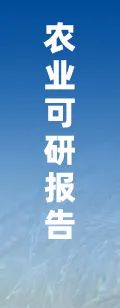 资讯配图