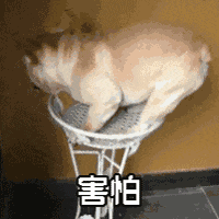 资讯配图