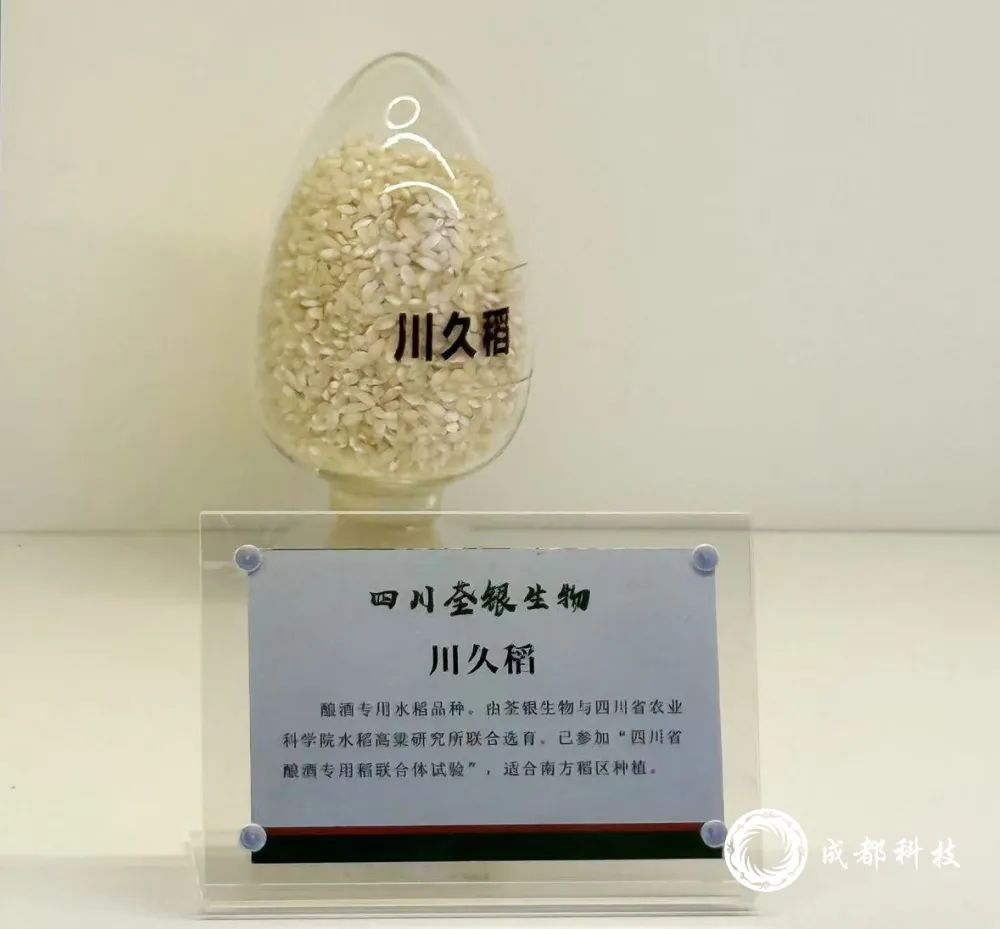 资讯配图