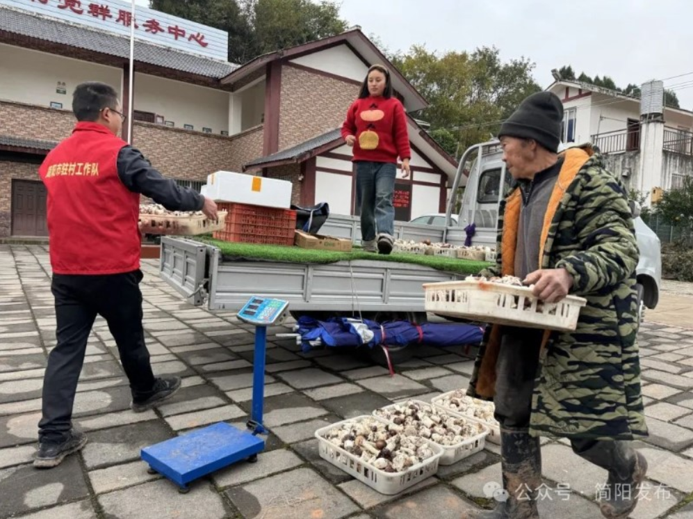 资讯配图