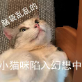 资讯配图