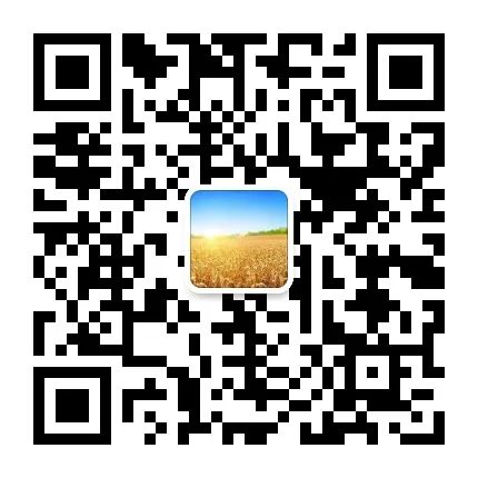 undefined 资讯配图