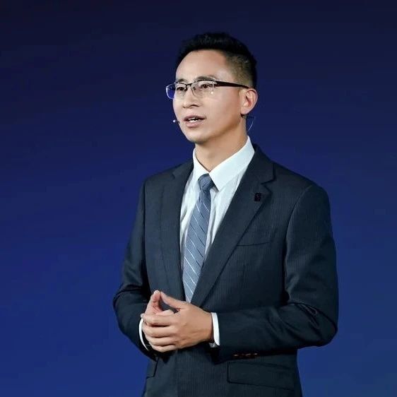 “比亚迪的资源不支持搞内部 ‘赛马’，只能去跟外部竞赛”