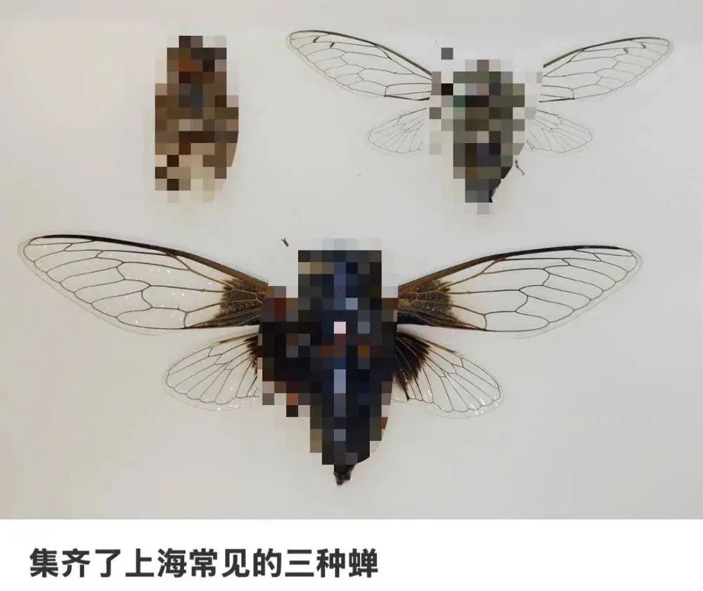 资讯配图