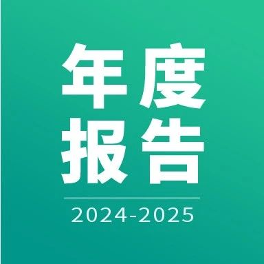 年报｜2024-2025年中国平台软件市场研究年度报告
