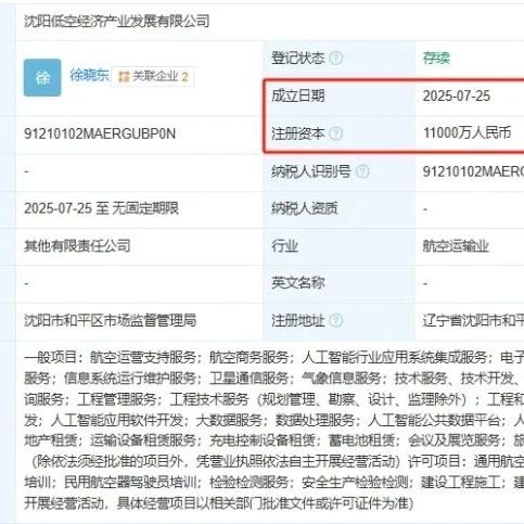 国有控股，注册资本1.1亿人民币，沈阳低空经济产业发展有限公司成立于2025年7月25日