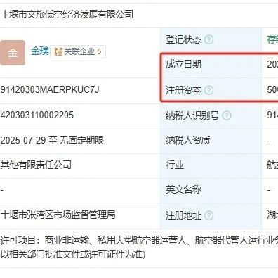 国有独资，注册资本500万人民币，十堰市文旅低空经济发展有限公司成立于2025年7月29日