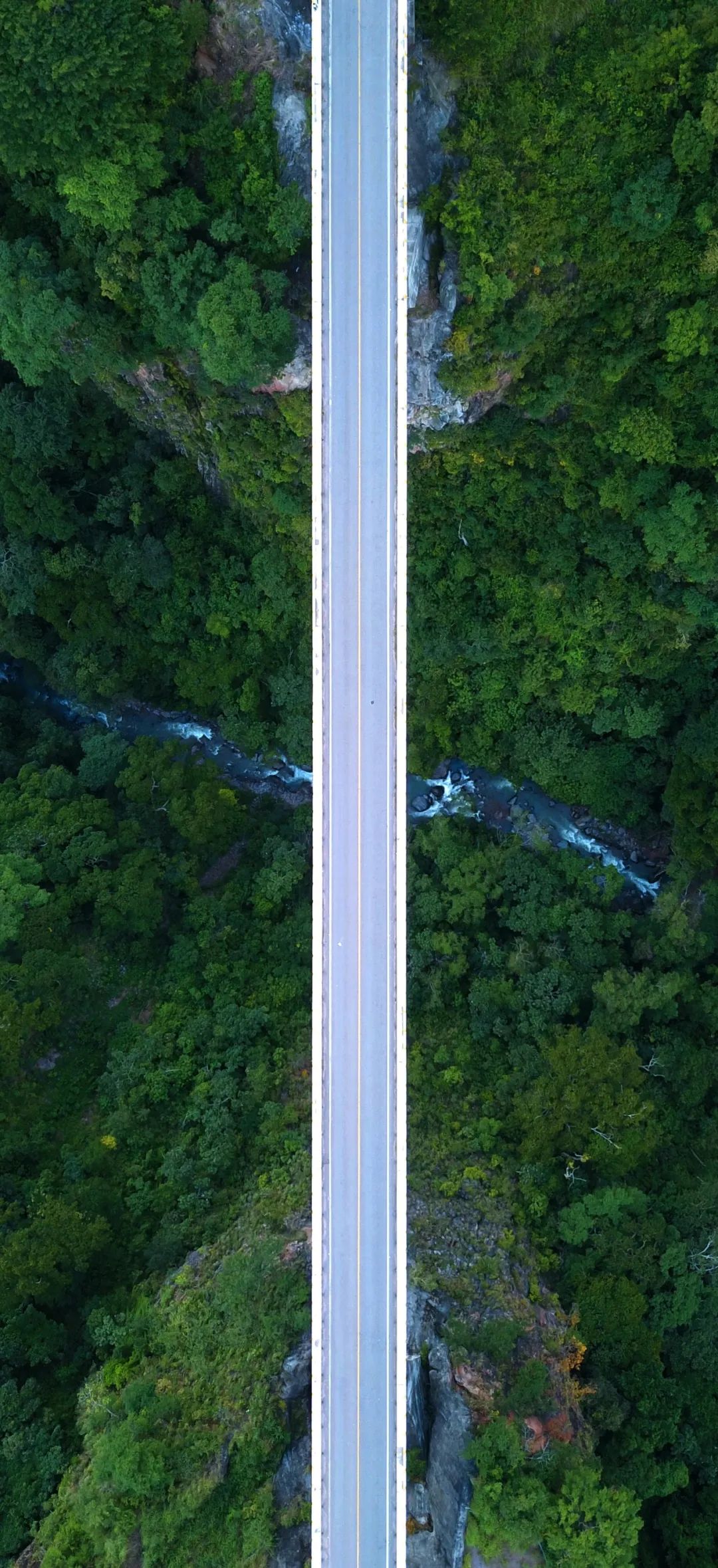 资讯配图
