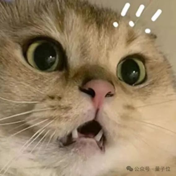资讯配图