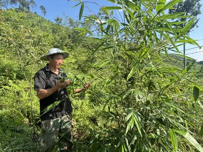 资讯配图