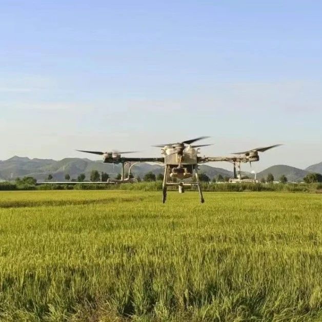 农业植保无人机作业面积约64万亩，低空经济助力肇庆农业腾飞！