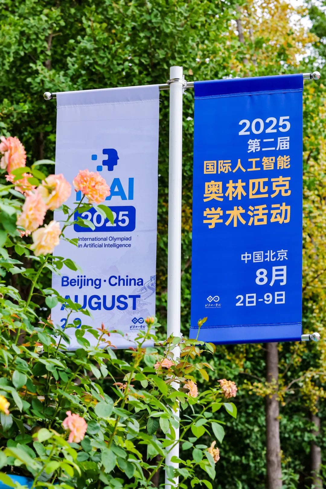 资讯配图