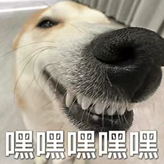 资讯配图