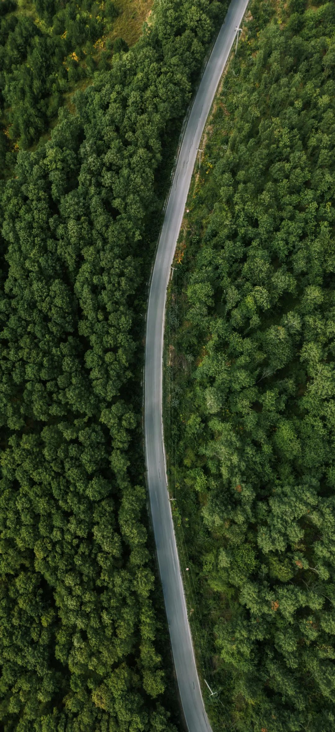 资讯配图