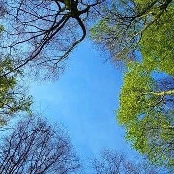 硬件只是入场券：AI可穿戴的百万销量背后，软件与场景才是终极战场