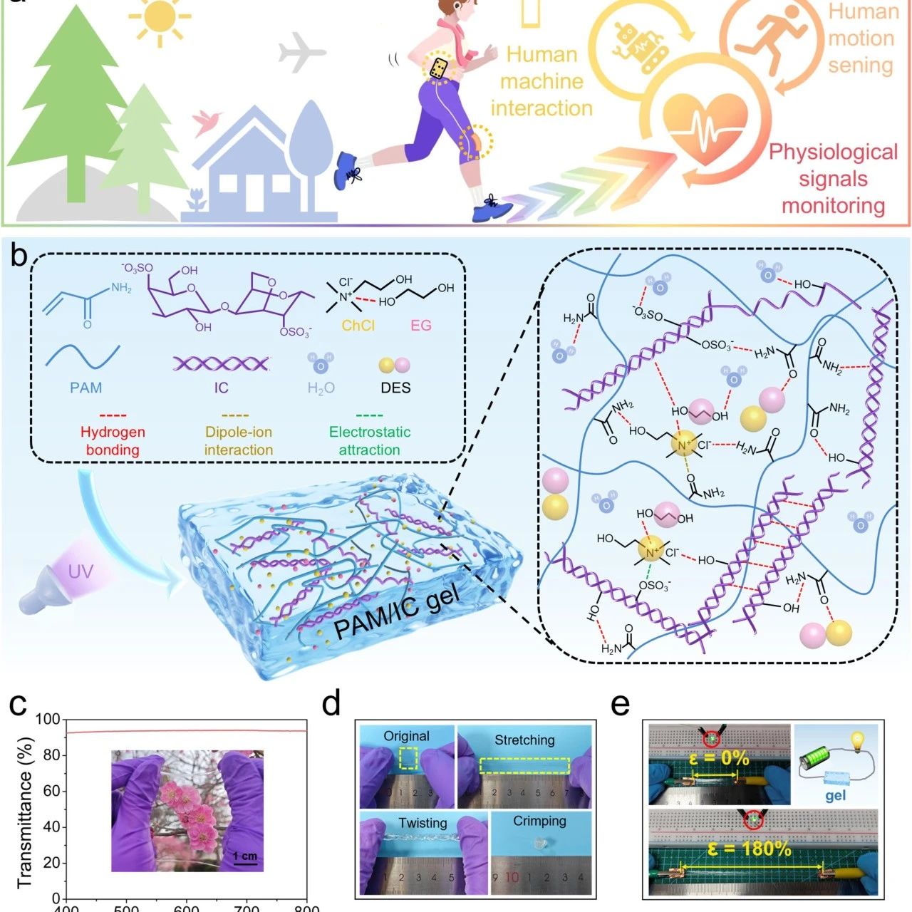 J Colloid Interf Sci：兼具高离子导电性、弹性与生物相容性的双网络复合凝胶及其表皮生物电位监测与可穿戴传感应用