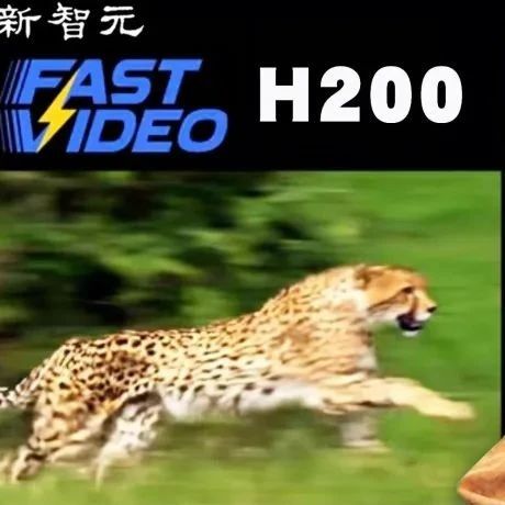 【AI】一夜颠覆Sora神话，H200单卡5秒出片！全华人团队开源AI引爆视频圈