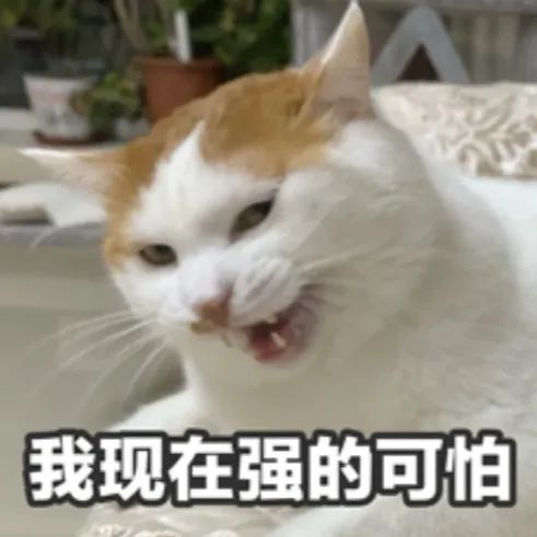 资讯配图