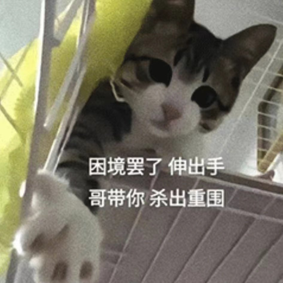 资讯配图