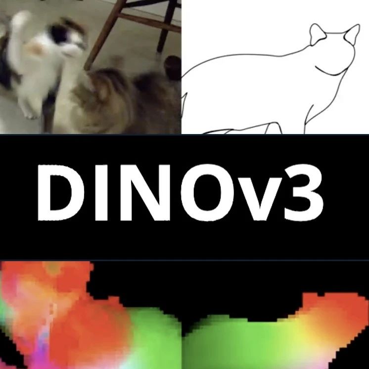 Meta视觉基座DINOv3王者归来：自监督首次全面超越弱监督，商用开源