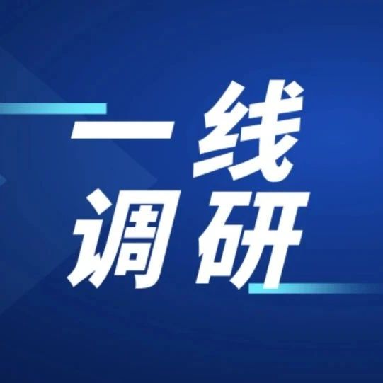 一线调研｜刍议我国新型显示产业发展现状、问题及路径（2025年第16期（总第75期））