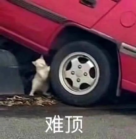 资讯配图