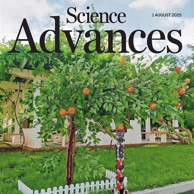 国防科技创新研究院Science Advances封面文章：可增强软体机器人操作能力的折纸外骨骼