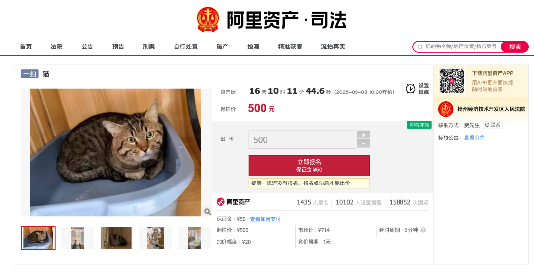 资讯配图