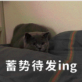 资讯配图