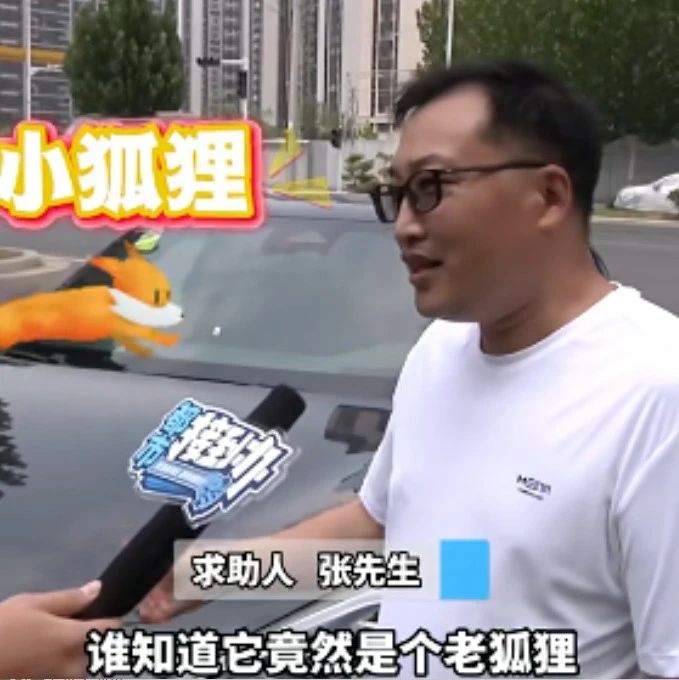 惊呆了！新势力新车竟用3年前“老电池”