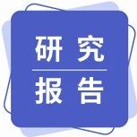 2025年中国光稳定剂行业市场规模、进入壁垒及投资战略研究