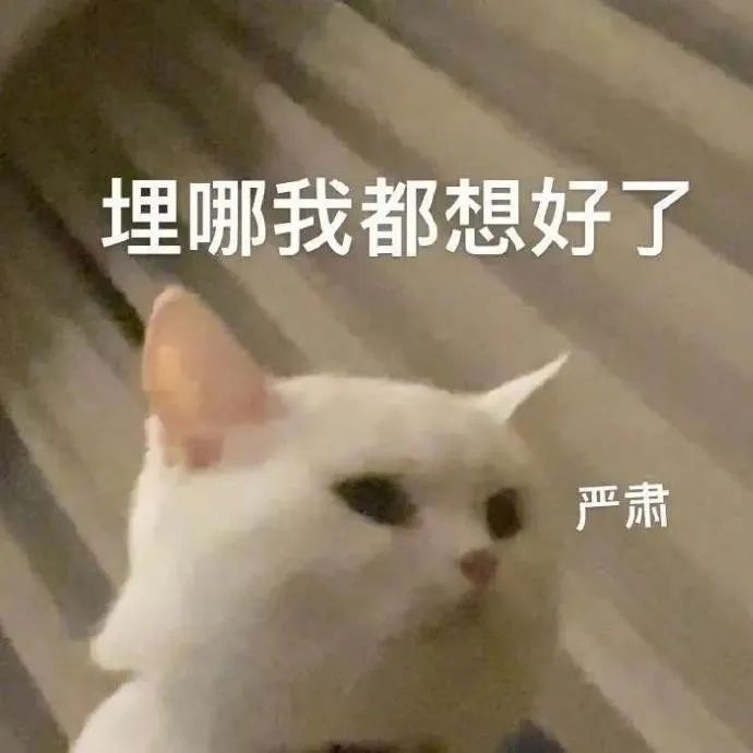 资讯配图
