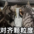 资讯配图