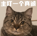 资讯配图