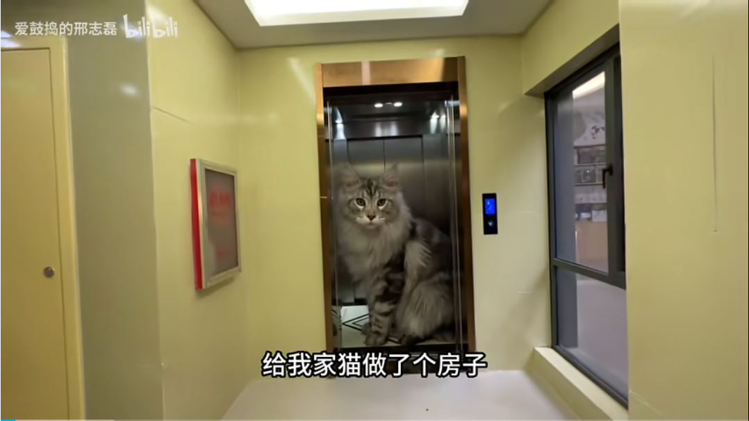 资讯配图