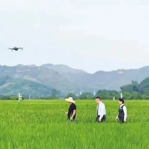 多方携手赋能低空经济新业态 农行深圳分行：“金融之翼”助飞产业发展