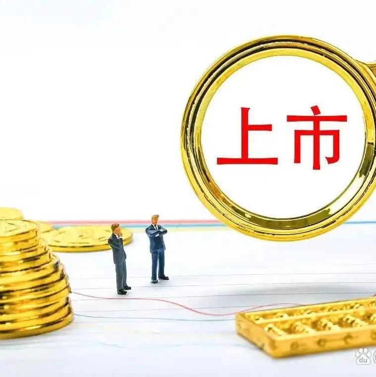 上市是芯片创业的最大陷阱！