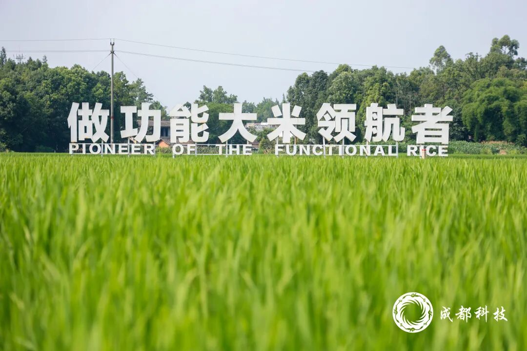 资讯配图