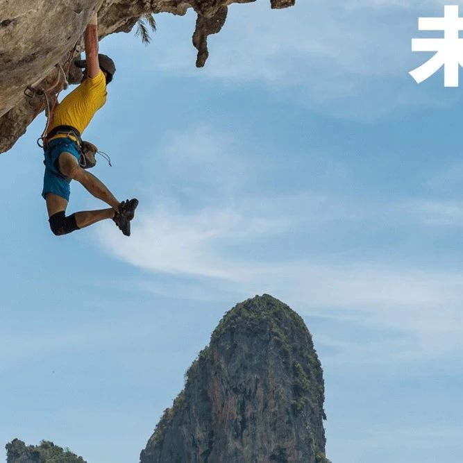 小米澎湃OS 3今日发布/美团：外卖大战导致利润率暴跌/华为新款三折叠官宣定档